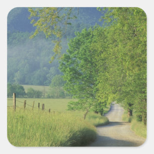 USA, Tennessee, Great Smoky Mountains NP, Square Sticker