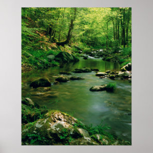 USA, Tennessee, Great Smoky Mountains Poster