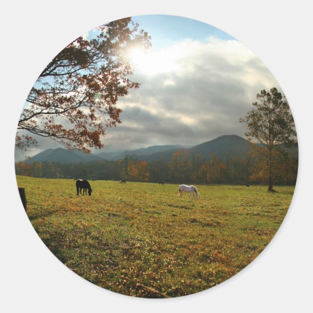 USA, Tennessee. Horses In Cades Cove Valley Classic Round Sticker (Front)