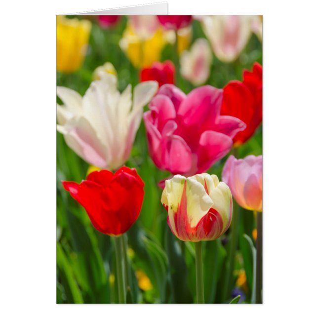 USA, Tennessee, Nashville (Front)