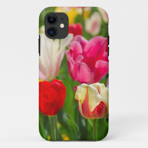 USA, Tennessee, Nashville iPhone 11 Case