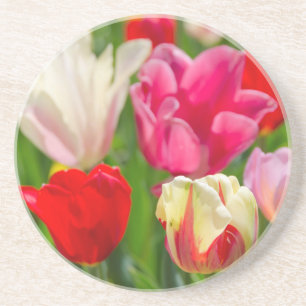 USA, Tennessee, Nashville Coaster