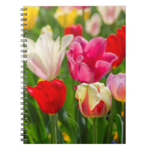 USA, Tennessee, Nashville Notebook