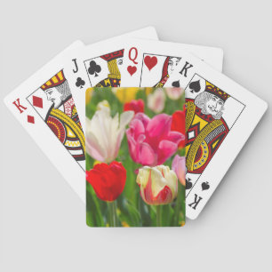 USA, Tennessee, Nashville Playing Cards