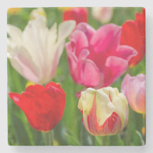 USA, Tennessee, Nashville Stone Coaster