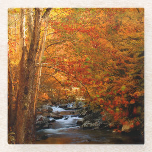 USA, Tennessee. Rushing Mountain Creek 2 Glass Coaster