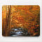 USA, Tennessee. Rushing Mountain Creek 2