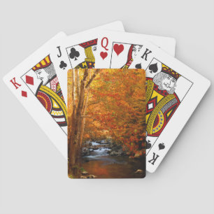 USA, Tennessee. Rushing Mountain Creek 2 Playing Cards