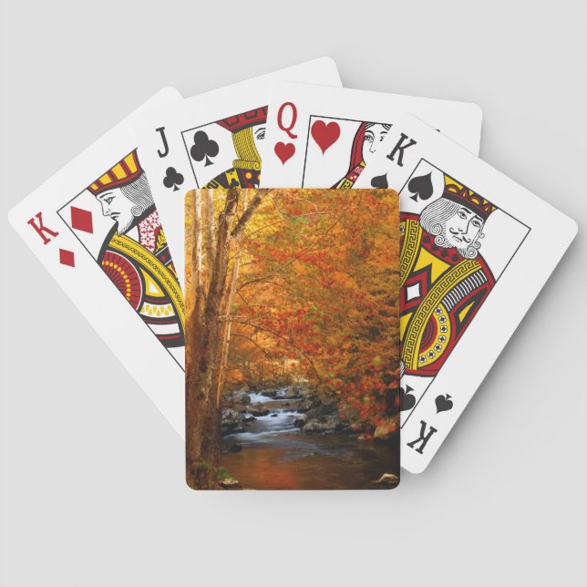 USA, Tennessee. Rushing Mountain Creek 2 Playing Cards (Back)