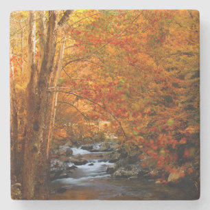 USA, Tennessee. Rushing Mountain Creek 2 Stone Coaster