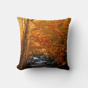 USA, Tennessee. Rushing Mountain Creek 2 Throw Pillow
