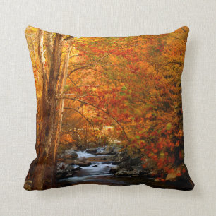 USA, Tennessee. Rushing Mountain Creek 2 Throw Pillow
