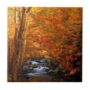 USA, Tennessee. Rushing Mountain Creek 2 Tile