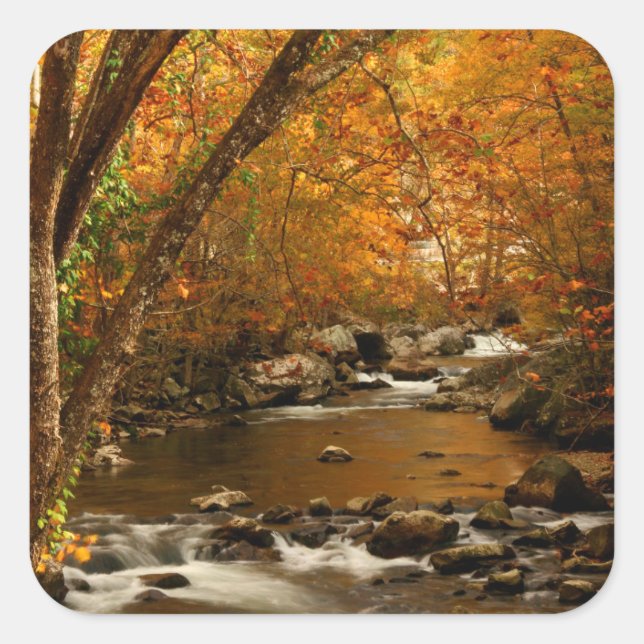 USA, Tennessee. Rushing Mountain Creek 3 Square Sticker (Front)