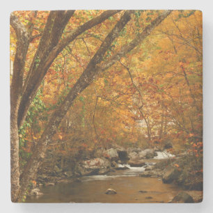 USA, Tennessee. Rushing Mountain Creek 3 Stone Coaster