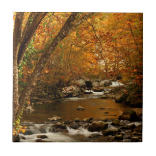 USA, Tennessee. Rushing Mountain Creek 3 Tile