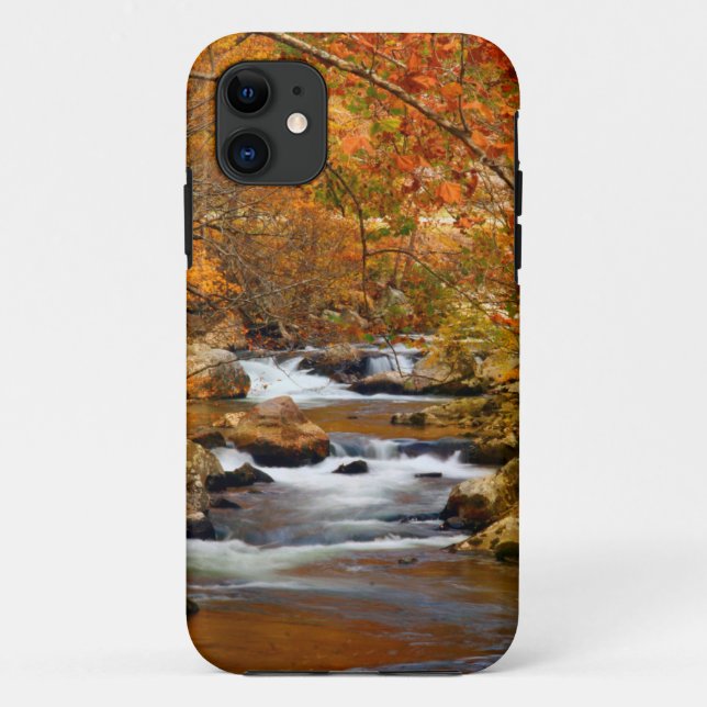 USA, Tennessee. Rushing Mountain Creek Case-Mate iPhone Case (Back)