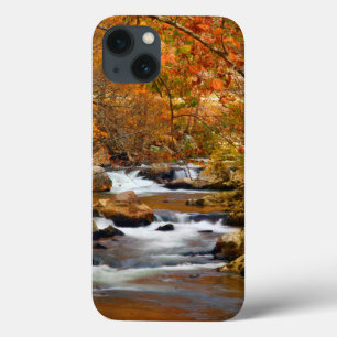 USA, Tennessee. Rushing Mountain Creek iPhone 13 Case