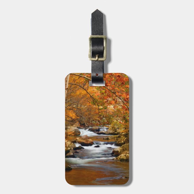 USA, Tennessee. Rushing Mountain Creek Luggage Tag (Front Vertical)