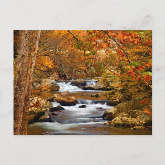 USA, Tennessee. Rushing Mountain Creek Postcard (Front)