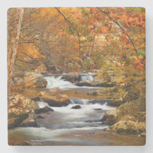 USA, Tennessee. Rushing Mountain Creek Stone Coaster