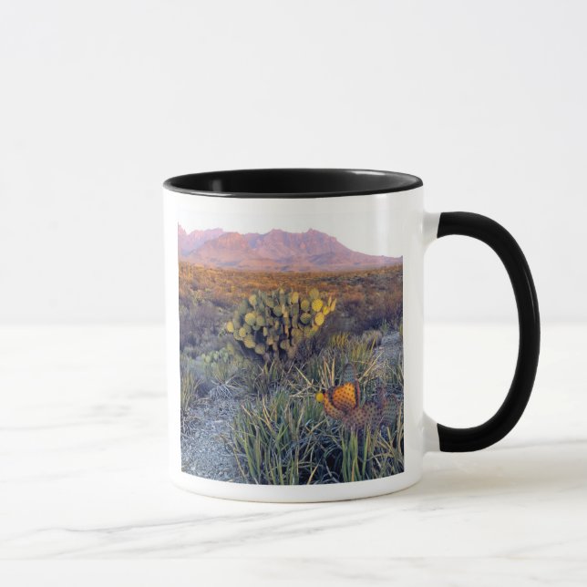 USA, Texas, Big Bend NP. A sandy pink dusk Mug (Right)