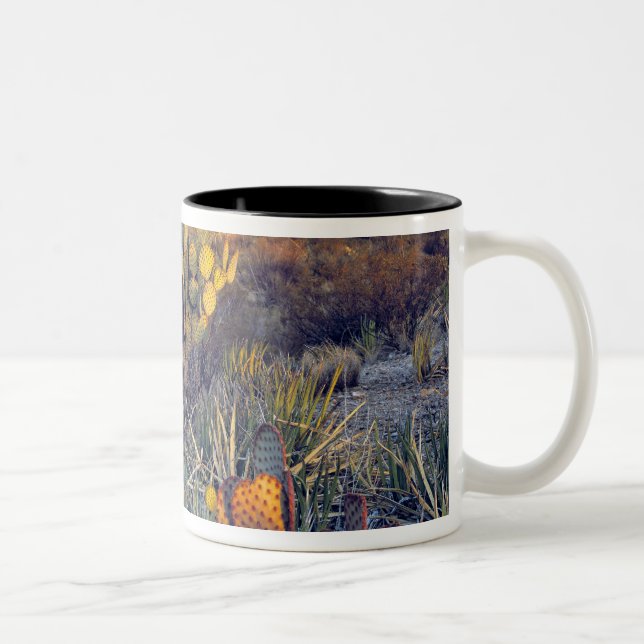 USA, Texas, Big Bend NP. A sandy pink dusk Two-Tone Coffee Mug (Right)