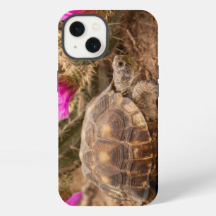 USA, Texas, Hidalgo County. Tortoise iPhone 13 Case