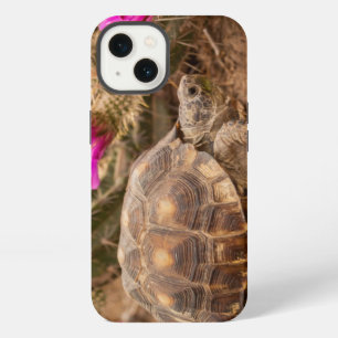 USA, Texas, Hidalgo County. Tortoise iPhone 13 Case