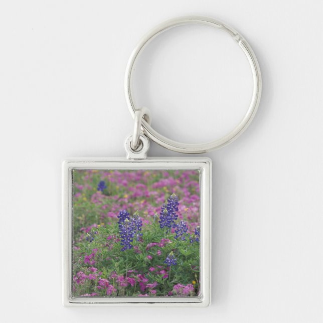 USA, Texas Hill Country. Bluebonnets among phlox Keychain (Front)