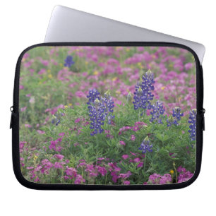 USA, Texas Hill Country. Bluebonnets among phlox Laptop Sleeve