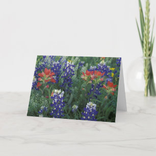 USA, Texas Hill Country. Bluebonnets and Card