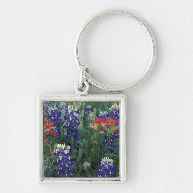 USA, Texas Hill Country. Bluebonnets and Keychain (Front)