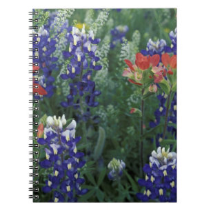 USA, Texas Hill Country. Bluebonnets and Notebook