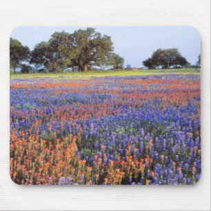 USA, Texas, Llano. Bluebonnets and redbonnets Mouse Pad
