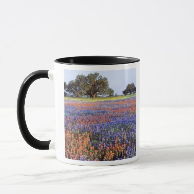 USA, Texas, Llano. Bluebonnets and redbonnets Mug (Left)