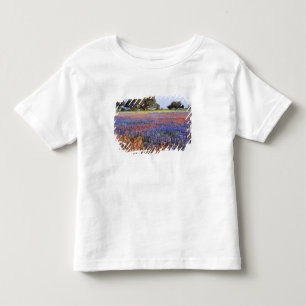 USA, Texas, Llano. Bluebonnets and redbonnets Toddler T-shirt