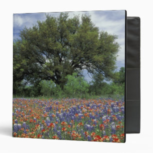 USA, Texas, Marble Falls Paintbrush and Binder