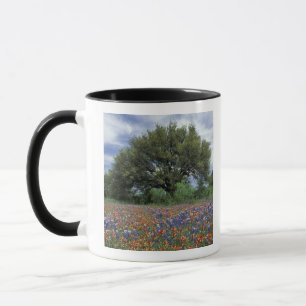 USA, Texas, Marble Falls Paintbrush and Mug