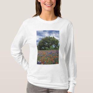 USA, Texas, Marble Falls Paintbrush and T-Shirt