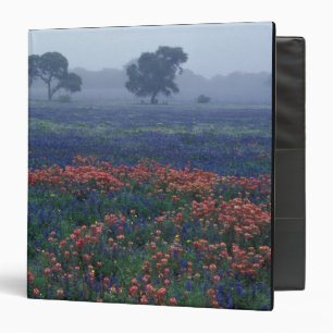 USA, Texas, near Lytle Fog, oaks, blue bonnets Binder