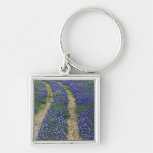 USA, Texas, near Marble Falls, Tracks in blue Keychain