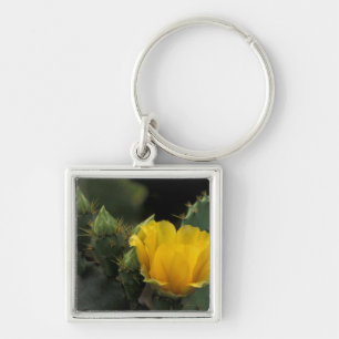 USA, Texas, Prickly Pear Cactus in bloom. Keychain