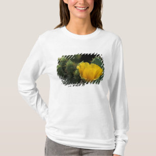 USA, Texas, Prickly Pear Cactus in bloom. T-Shirt