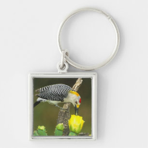 USA, Texas, Rio Grande Valley, McAllen. Male Keychain