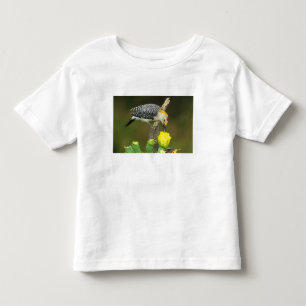 USA, Texas, Rio Grande Valley, McAllen. Male Toddler T-shirt