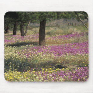 USA, Texas, Sand Verbena and Brown-eyed Mouse Pad