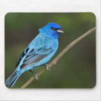 USA, Texas, South Padre Island