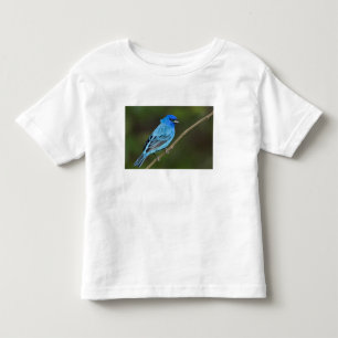 USA, Texas, South Padre Island Toddler T-shirt