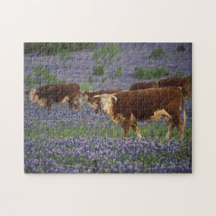 USA, Texas, Texas Hill Country, Hereford Jigsaw Puzzle